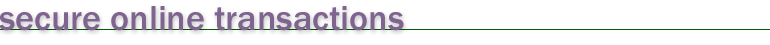 secure online transactions
