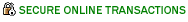 Secure online shopping